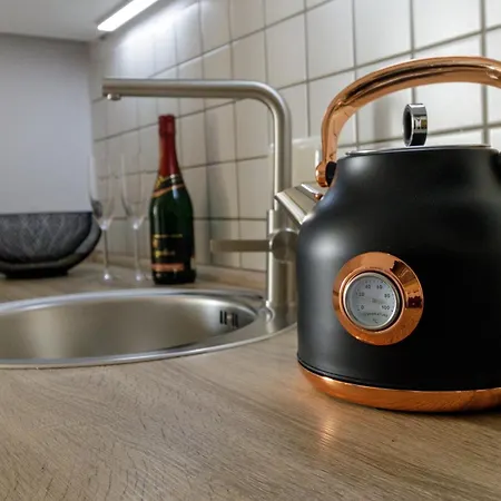 Apartment Elsterblick Gera